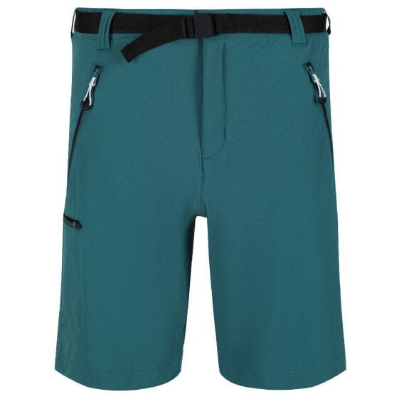 REGATTA Xert Stretch III Shorts