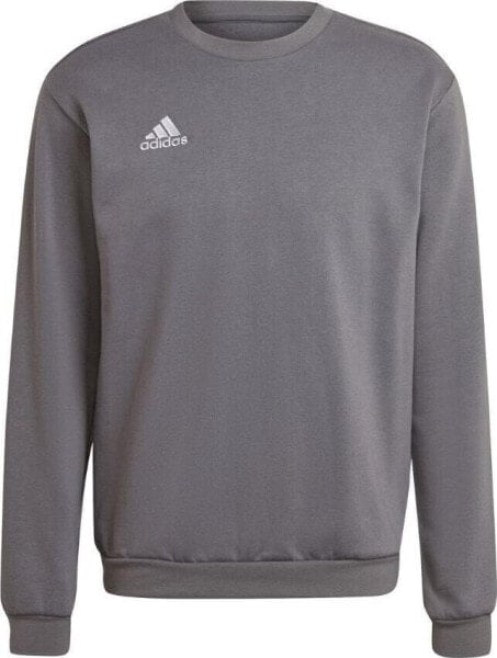 Adidas Bluza adidas ENTRADA 22 Sweat Top H57479 H57479 szary XXL