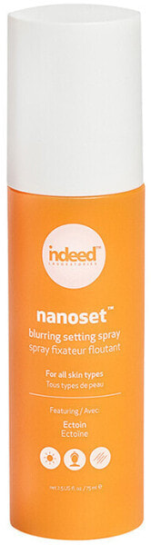 Nanoset Blurring Setting Spray