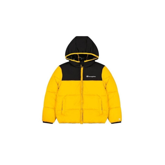 Champion Legacy Hooded