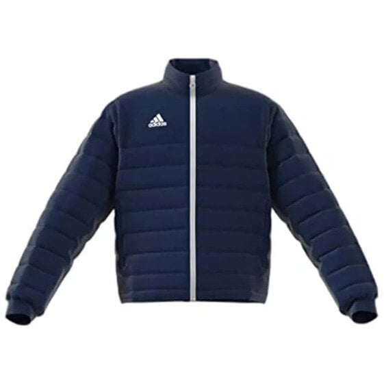 ADIDAS Ent22 Ljkty Jacket