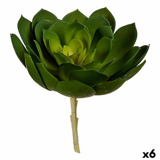 Декоративное растение Ibergarden Зеленый Пластик 22 x 19 x 19 см (6 штук)