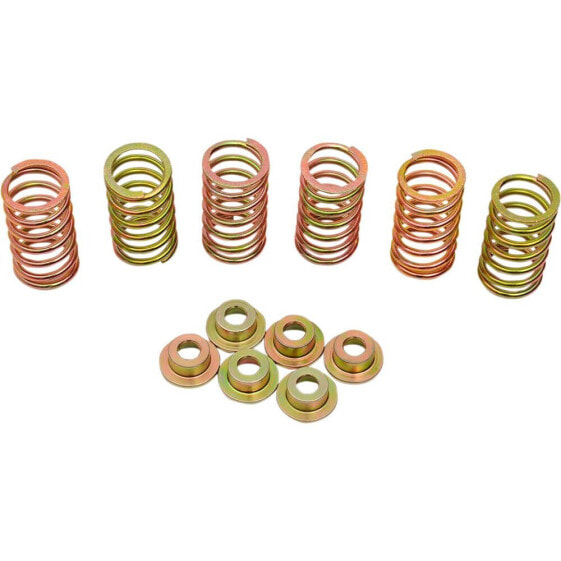 BARNETT Ducati 505-44-06090 Clutch Spring Kit