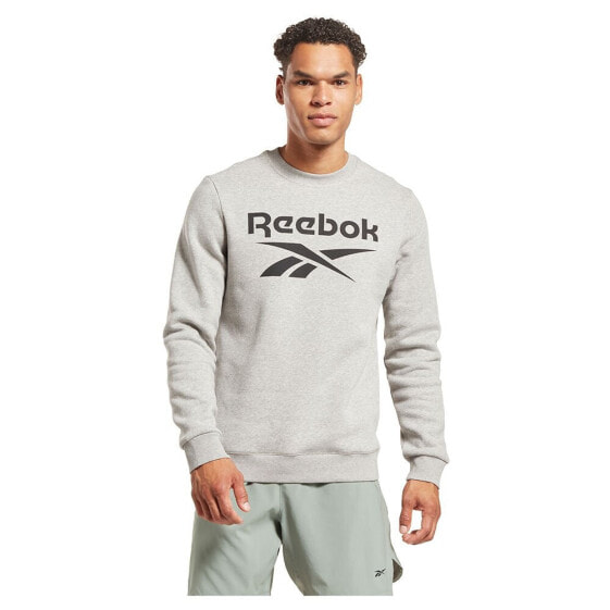 REEBOK Ri Flc Big Logo Crew Sweatshirt