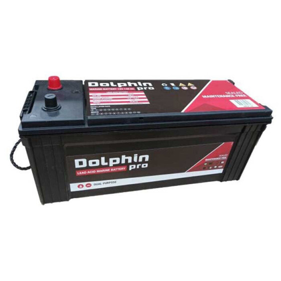 DOLPHIN CHARGER Pro 140A Battery