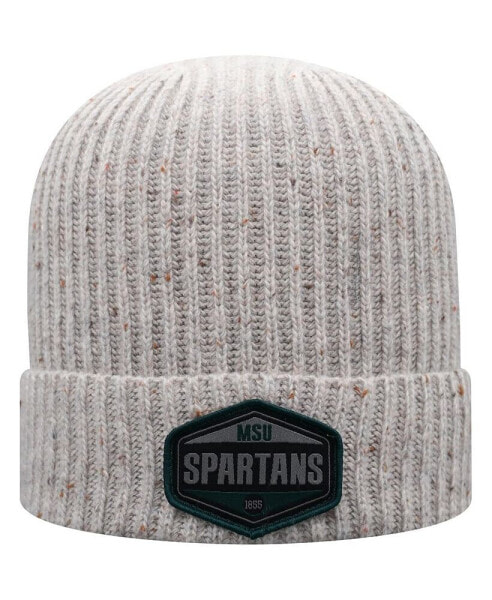 Men's Gray Michigan State Spartans Alp Cuffed Knit Hat