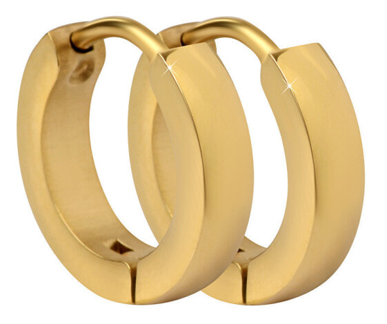 Gold-plated steel earrings rings