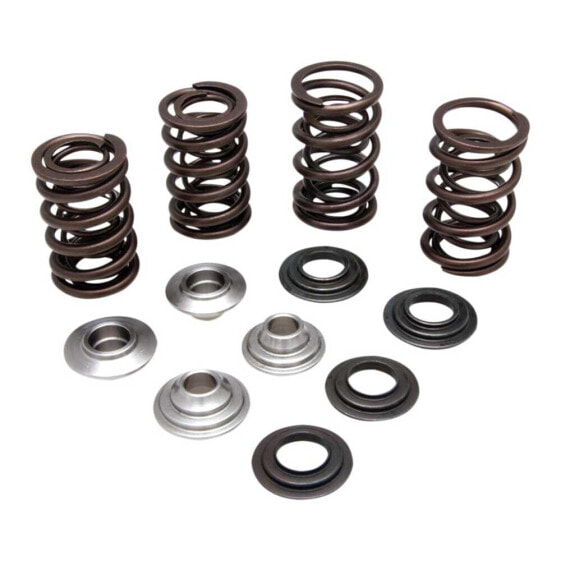 KIBBLEWHITE 60-60280 Valve Springs&Washers