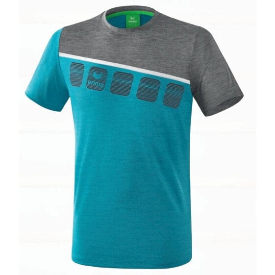 Футболка мужская Erima T-Shirt 5-C