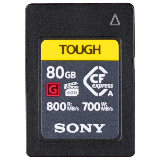 SONY CEAG80T 80GB memory card