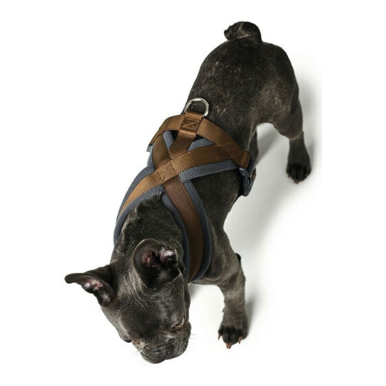 HUNTER London Comfort Harness