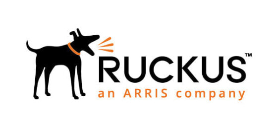 Ruckus 823-T31C-1000 - 1 year(s) - 24x7