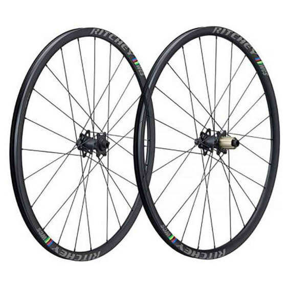 RITCHEY WCS Zeta Disc wheel set