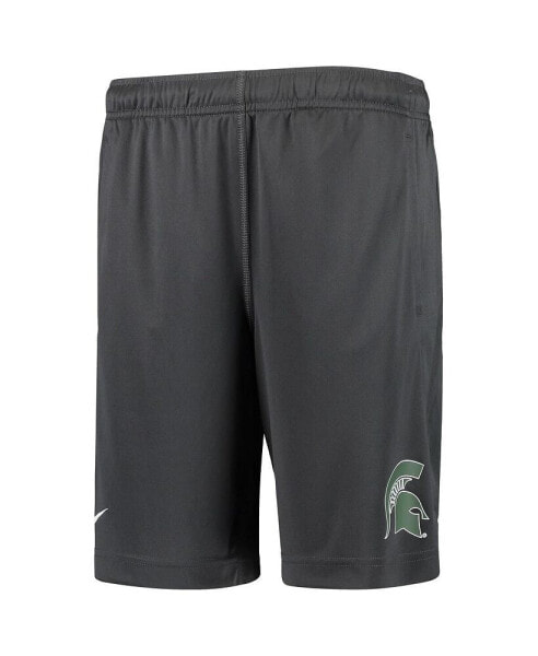 Big Boys and Girls Anthracite Michigan State Spartans Performance Fly Shorts