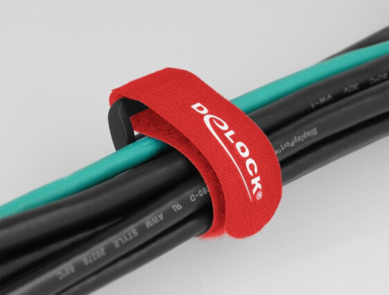 Delock 19532 - Hook & loop cable tie - Red - 19 cm - 25 mm - 5 pc(s)