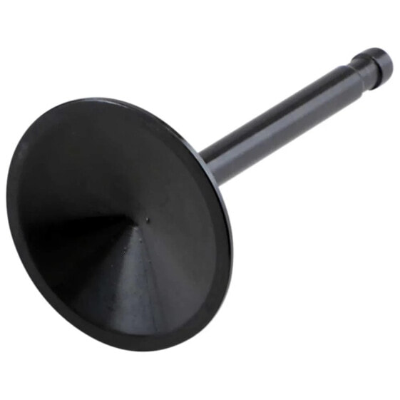 KIBBLEWHITE 20-4196 Intake Valve