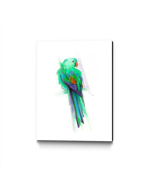 Alexis Marcou Aves 02 Museum Mounted Canvas 24" x 32"