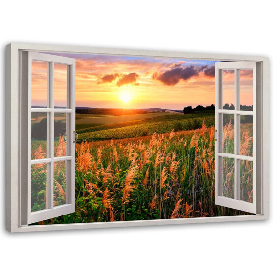 Bild Fenster Sonnenuntergang Blumen