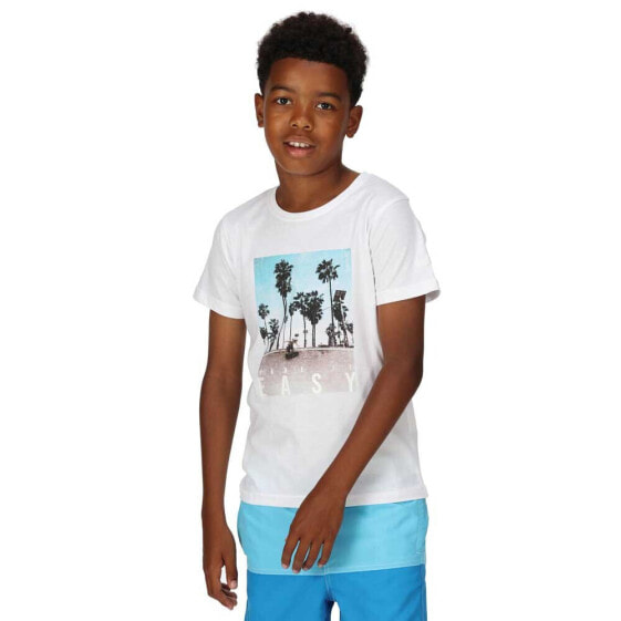 REGATTA Bosley VI short sleeve T-shirt