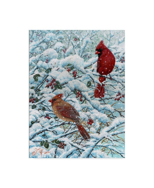 Jeff Tift 'Winter Cardinal Painting' Canvas Art - 24" x 32"