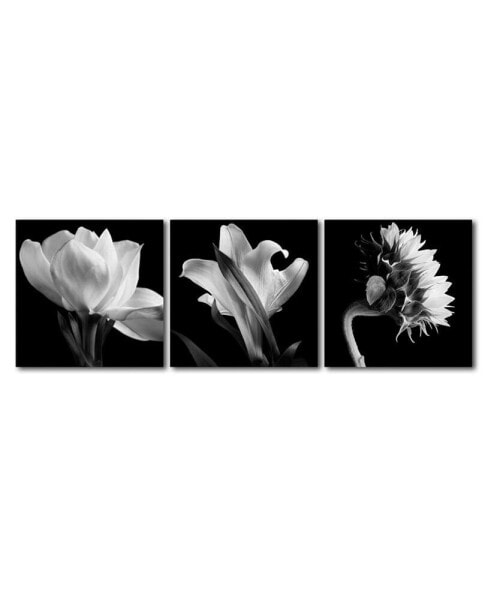 Michael Harrison 'Flower Triptych' 3 Panel Art Set - 18" x 18" x 2"