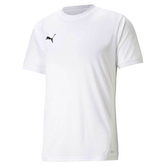 PUMA TeamLIGA short sleeve T-shirt