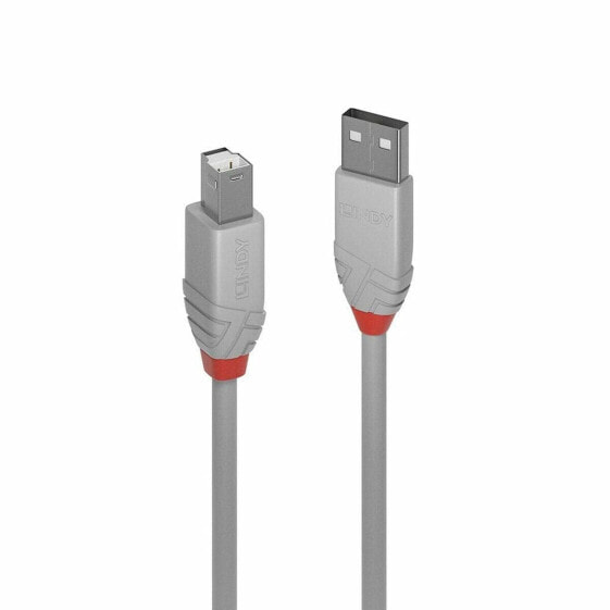 Кабель USB A — USB B LINDY 36682 Серый