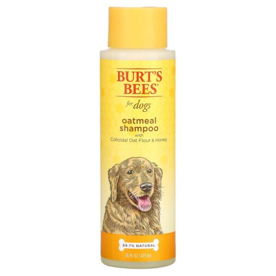 Шампунь для собак с овсяной мукой и медом, 16 жидких унций (473 мл) от BURT'S BEES