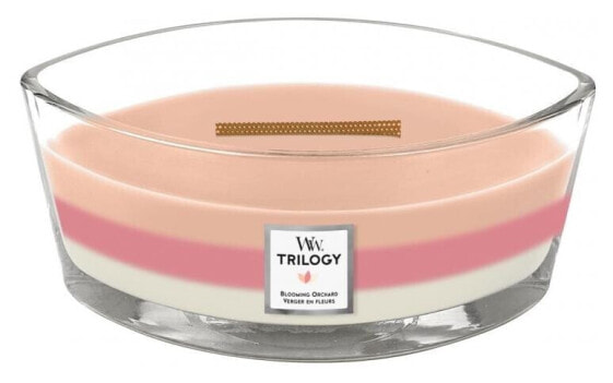Scented candle ship Trilogy Blooming Orchard 453.6 g