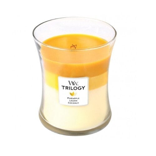 Trilogy Fruits Of Summer Scented Candle 275 g