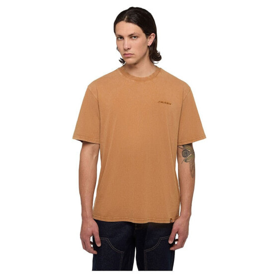 DICKIES Plentywood short sleeve T-shirt