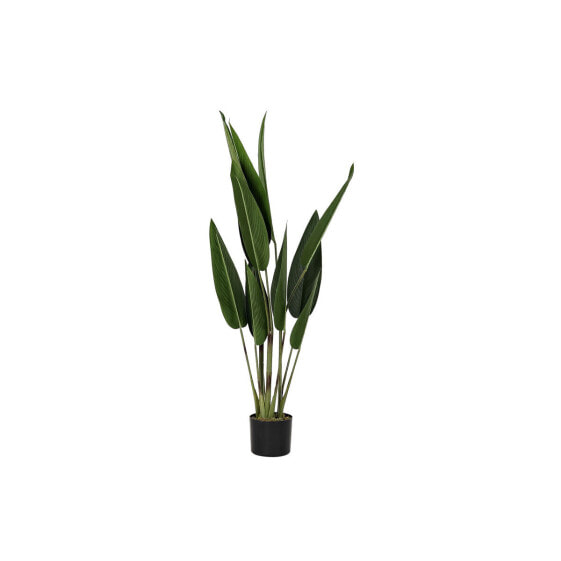 Decorative Plant DKD Home Decor 40 x 40 x 115 cm Polyethylene Green Bird of paradise Urban