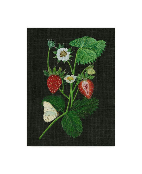 Melissa Wang Strawberry Fields I Canvas Art - 20" x 25"