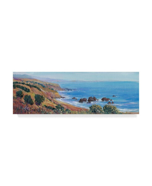 Tim Otoole Panoramic Ocean View II Canvas Art - 20" x 25"