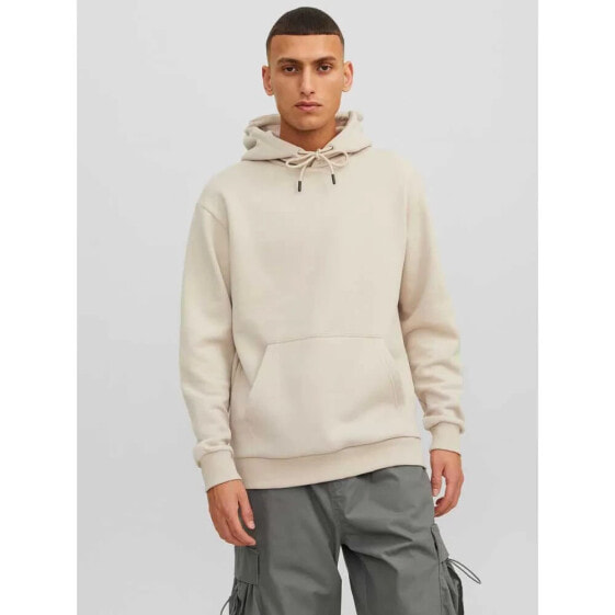 JACK & JONES Bradley hoodie