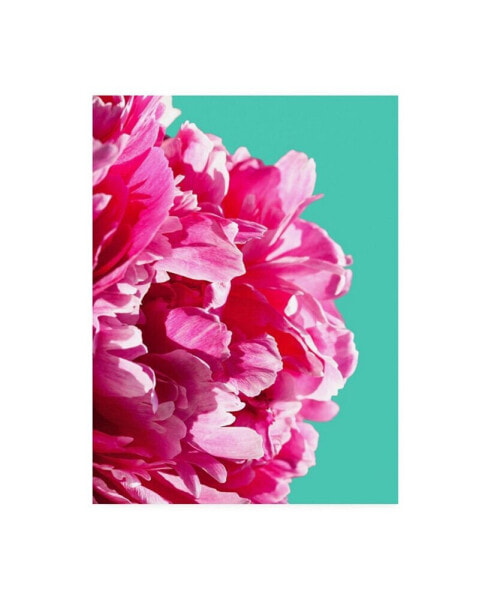 Lexie Gree Pink Peony on Teal Canvas Art - 27" x 33.5"