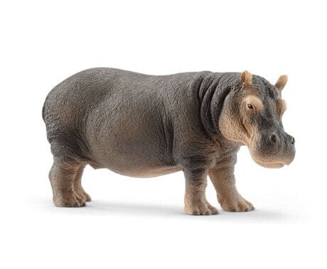 Schleich Wild Life Hippopotamus - 3 yr(s) - Boy/Girl - Multicolour - Plastic - 1 pc(s)