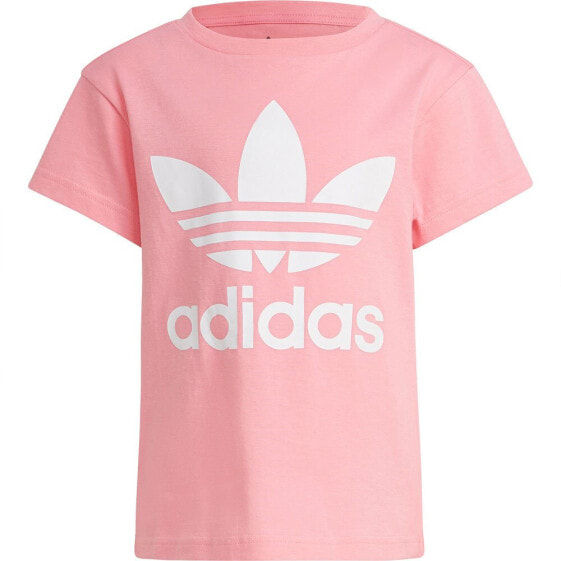 ADIDAS ORIGINALS Adicolor Trefoil short sleeve T-shirt