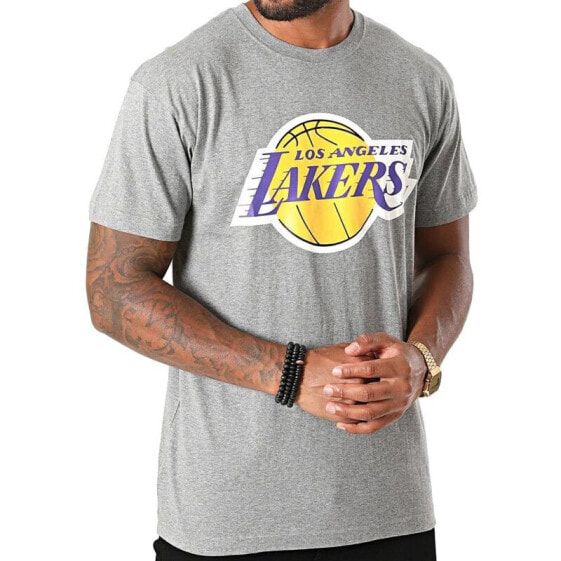 Mitchell & Ness NBA Los Angeles Lakers Team Logo Tee M BMTRINTL1268-LALGYML