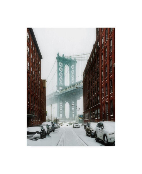 Bruce Gett The New York Blizzard Canvas Art - 15.5" x 21"