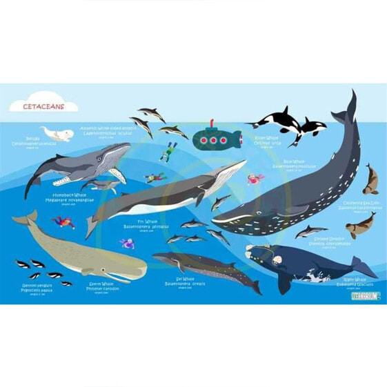 OCEANARIUM Cetaceans L Towel