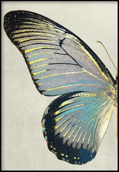 Türkis Schmetterling Links Poster