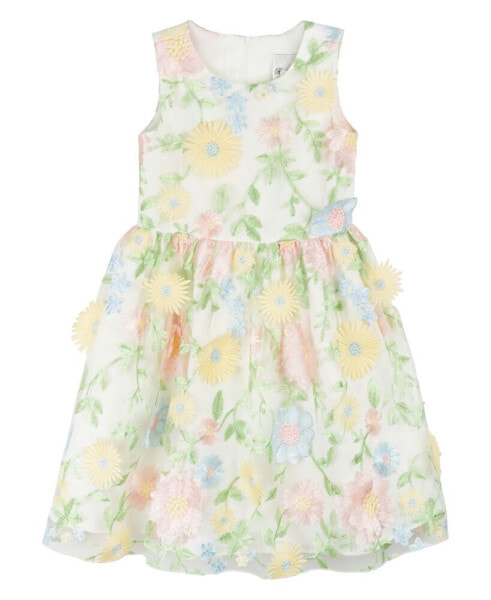 Little Girls Sleeveless 3D Floral Embroidered Social Dress