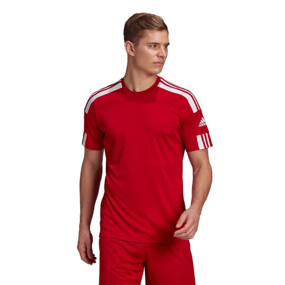 ADIDAS Squadra 21 short sleeve T-shirt