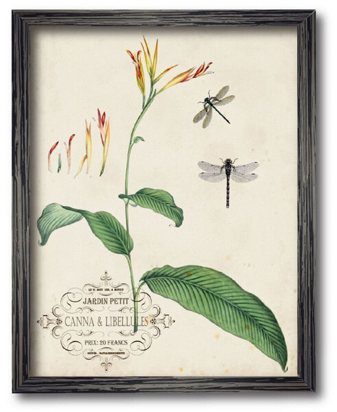 Canna Dragonflies I 16" x 20" Framed Canvas Wall Art