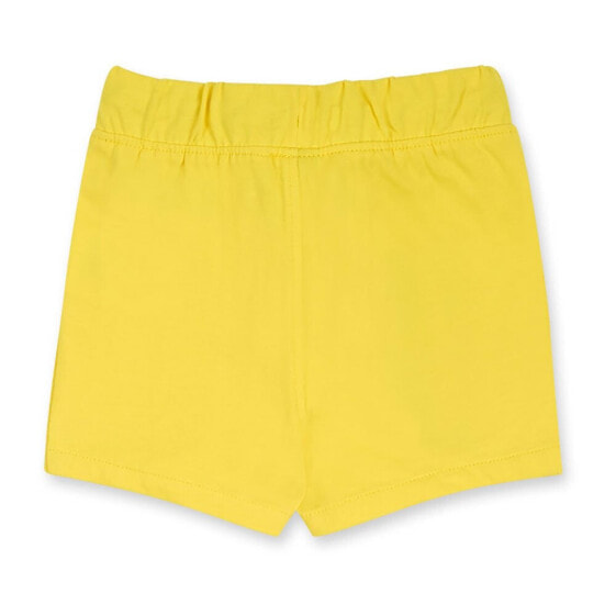 TUC TUC Basics Shorts