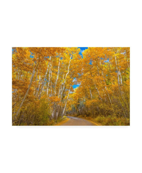 Darren White Photography Colors of Fall Photograph Canvas Art - 15.5" x 21"