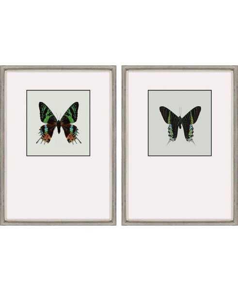 Great Butterfly I Framed Art, Set of 2