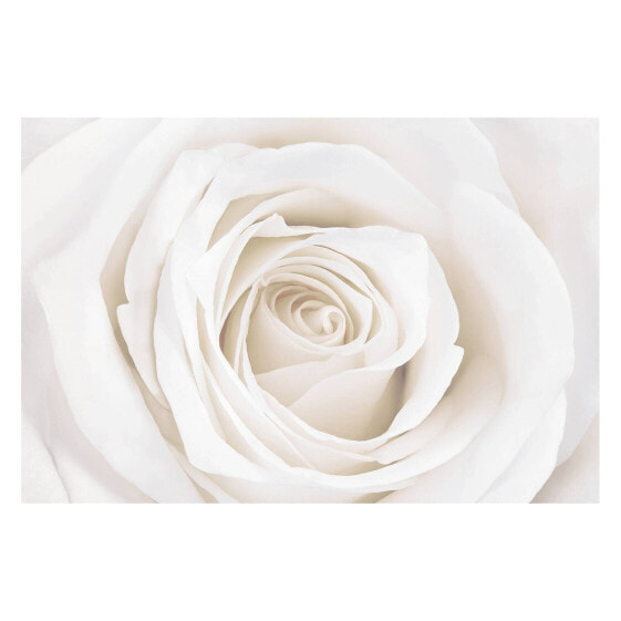 Обои Bilderwelten Pretty White Rose