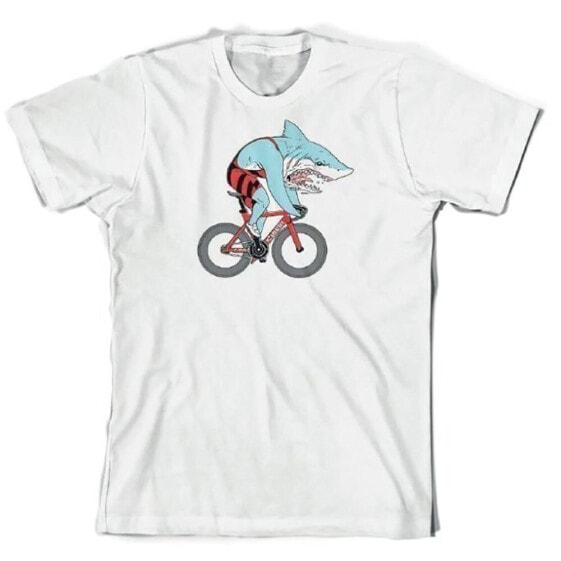CINELLI Shark short sleeve T-shirt